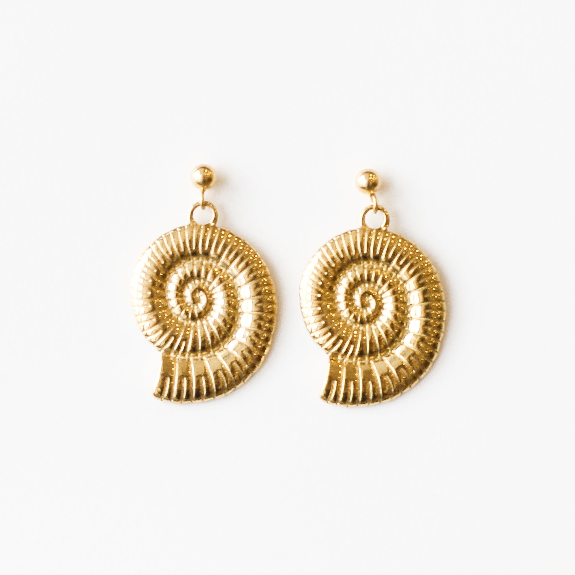 boucle oreille ammonite coquillage doré acier