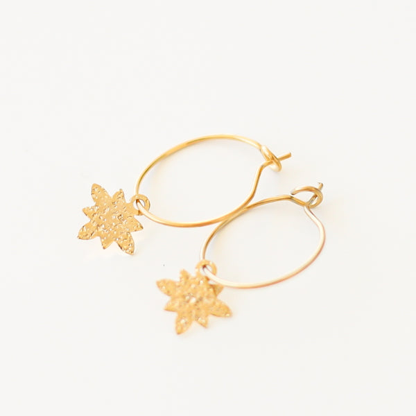 Star mini hoop earrings